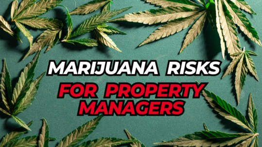 Marijuana in Rentals